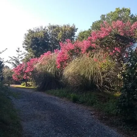 Domaine Oustau Cassou Chez Yanou Et Yanetto Holiday home *