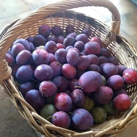 Domaine Oustau Cassou Chez Yanou Et Yanetto בית נופש Sevignacq