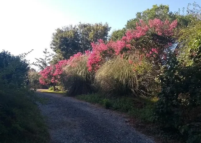 Domaine Oustau Cassou Chez Yanou Et Yanetto بيت للعطل *